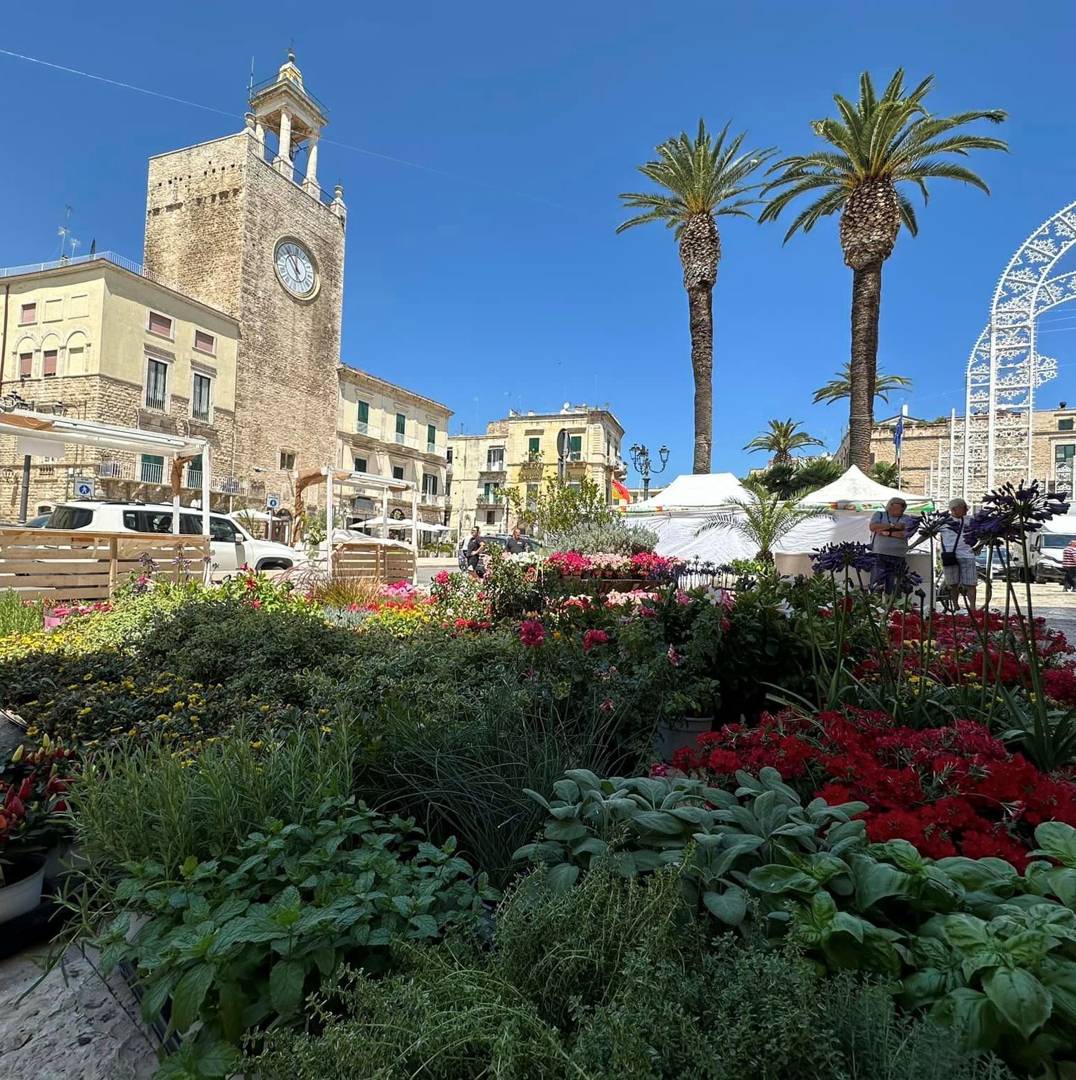 “Fiori e Fioroni” – Colori e profumi tra piazze, vicoli e vetrine