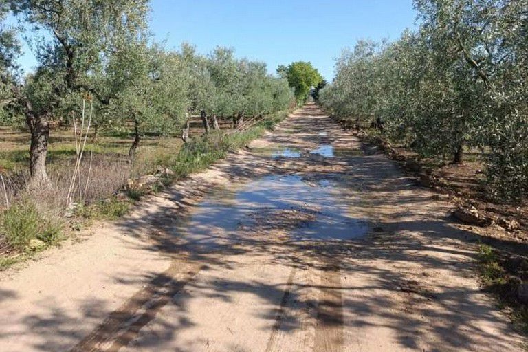 Il Comune di Terlizzi si aggiudica 1 milione di euro di finanziamento regionale per la sistemazione delle strade rurali del territorio comunale